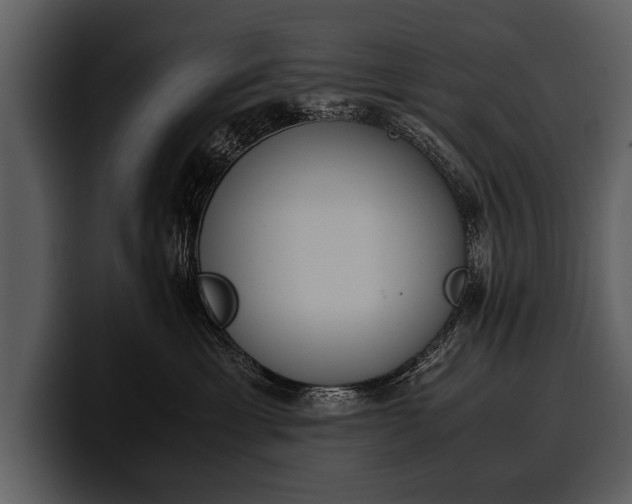 X0000100310429200806190946