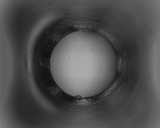 X0000100310430200806190946