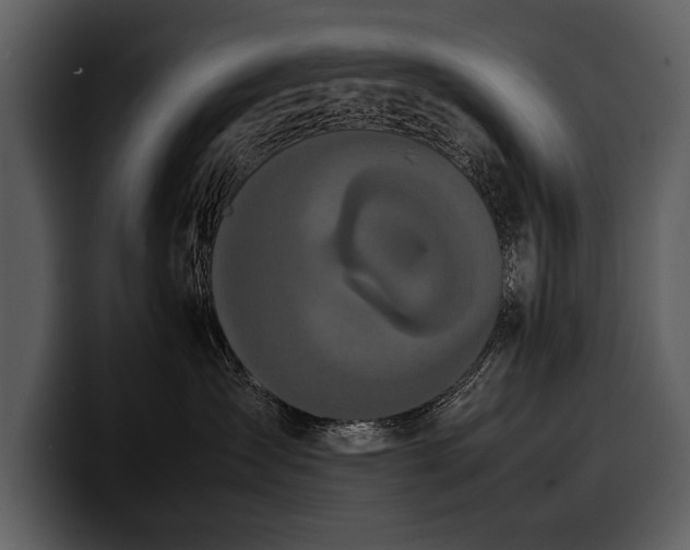 X0000100310431200806190946
