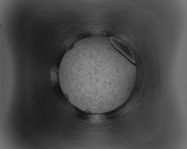 X0000100310432200806190946