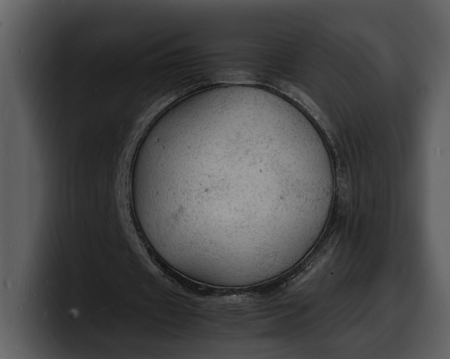X0000100310433200806190945