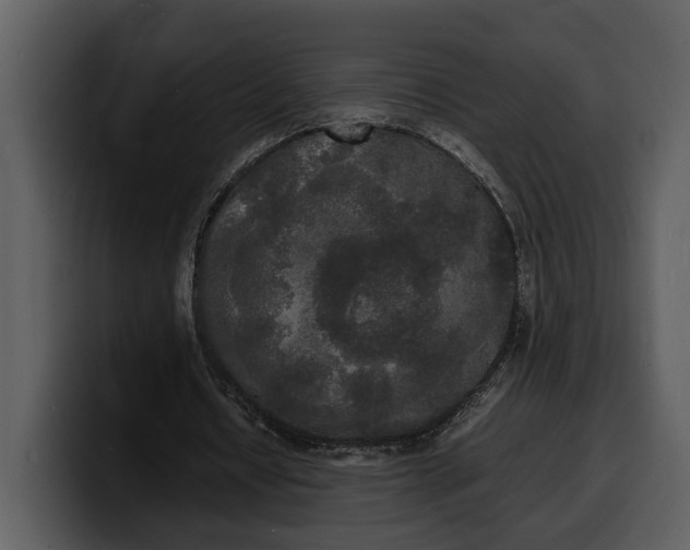 X0000100310434200806190945