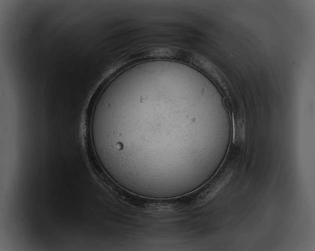 X0000100310435200806190945