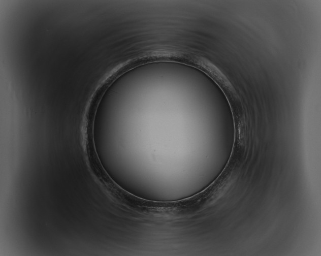 X0000100310436200806190945