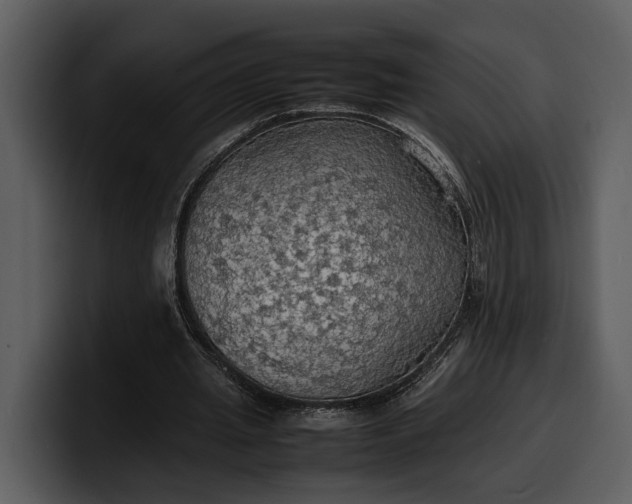 X0000100310437200806190945