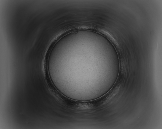 X0000100310439200806190945