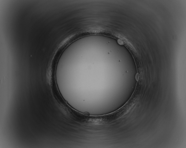 X0000100310440200806190945