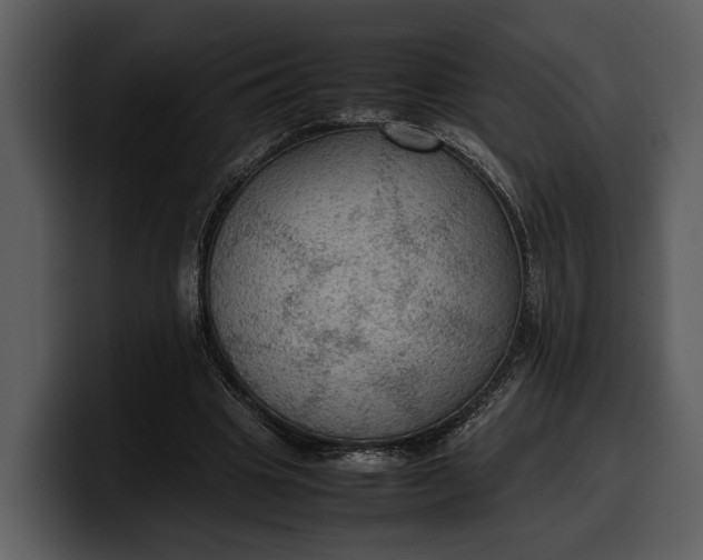 X0000100310441200806190945