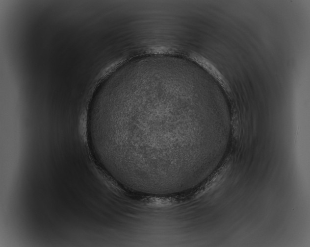 X0000100310442200806190945