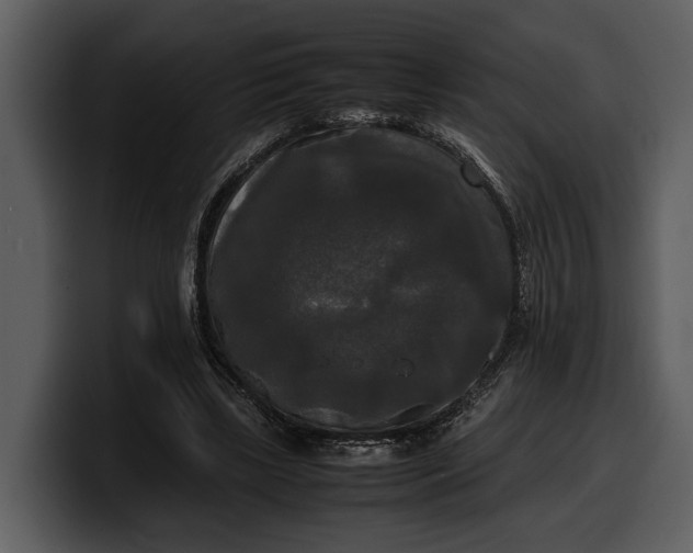 X0000100310443200806190946