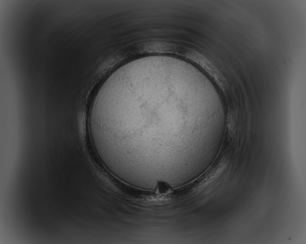 X0000100310445200806190946