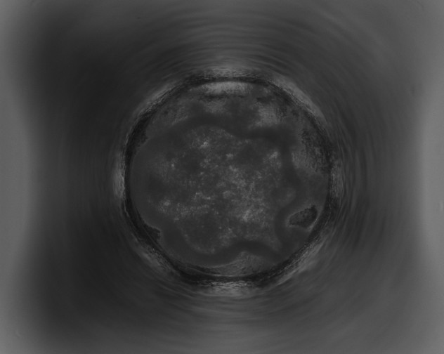 X0000100310446200806190946