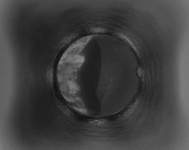 X0000100310447200806190946