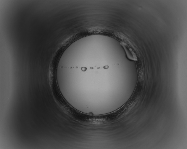X0000100310448200806190946