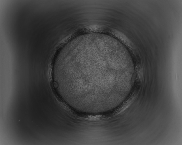 X0000100310450200806190946