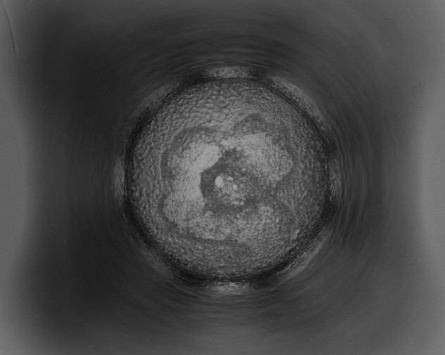 X0000100310453200806190946
