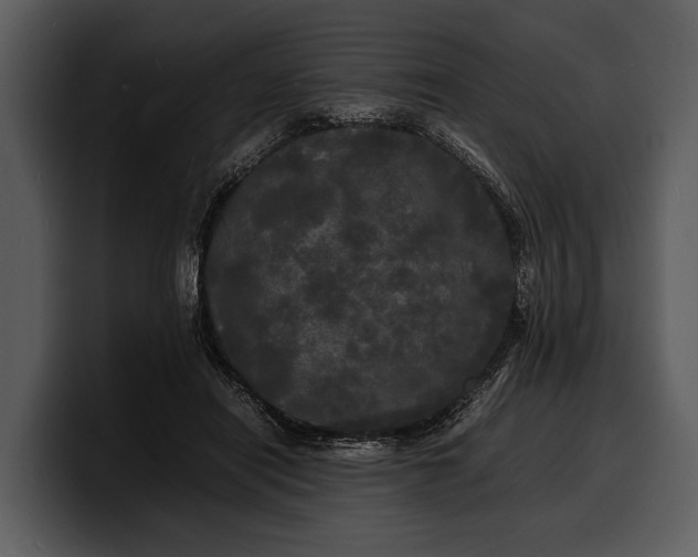 X0000100310454200806190946