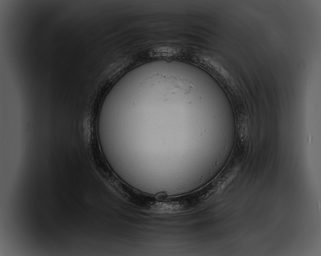 X0000100310455200806190946