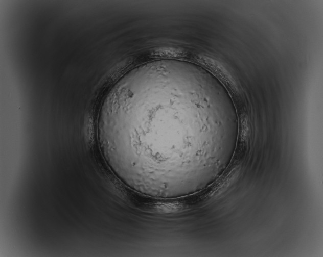 X0000100310457200806190946