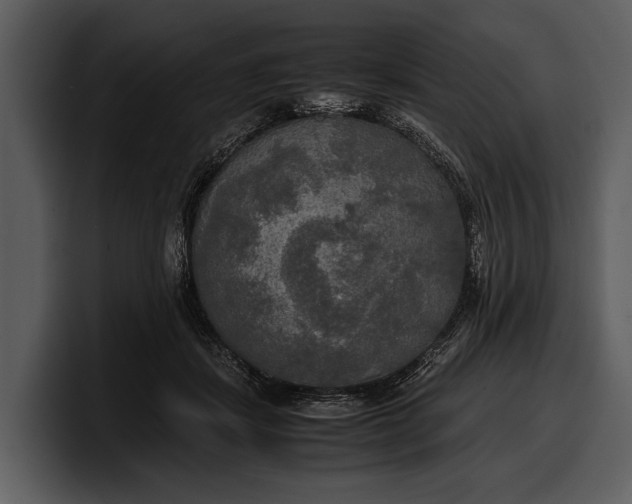 X0000100310459200806190946