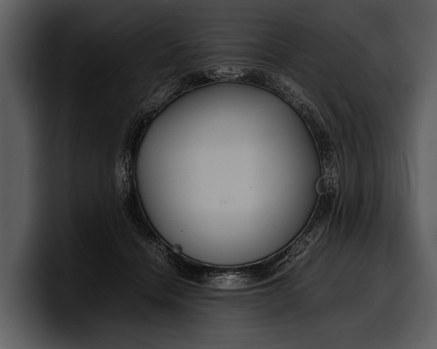 X0000100310460200806190946