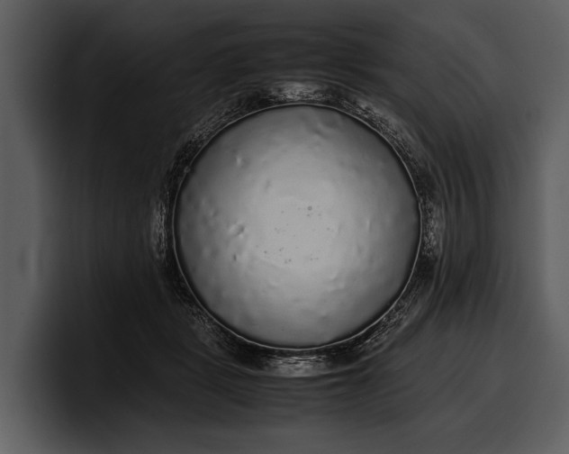 X0000100310461200806190946