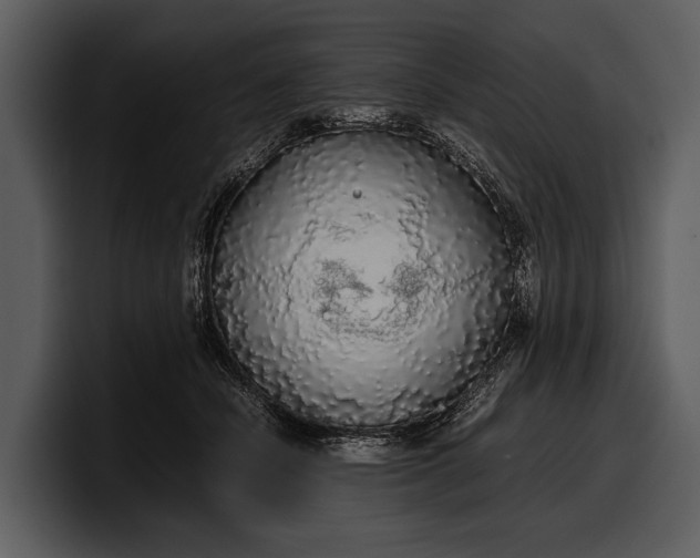 X0000100310462200806190946