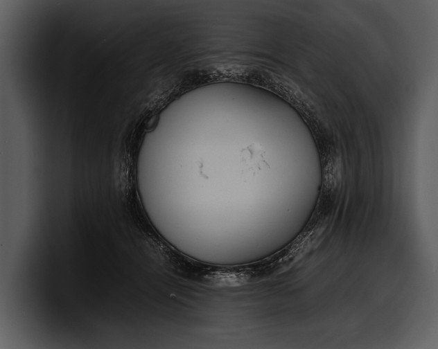X0000100310464200806190946