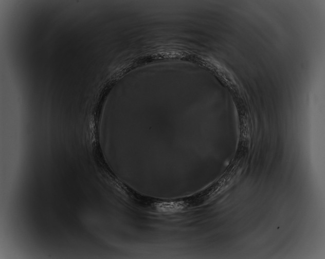 X0000100310465200806190946