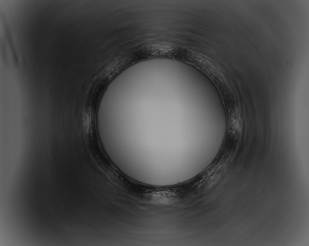X0000100310468200806190946