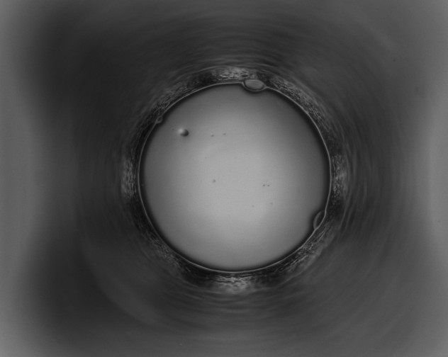 X0000100310469200806190946