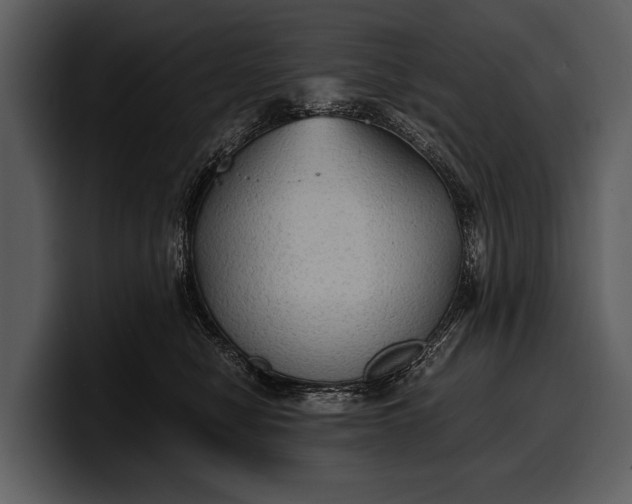 X0000100310470200806190946