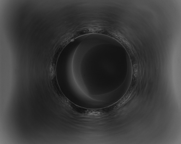 X0000100310471200806190946