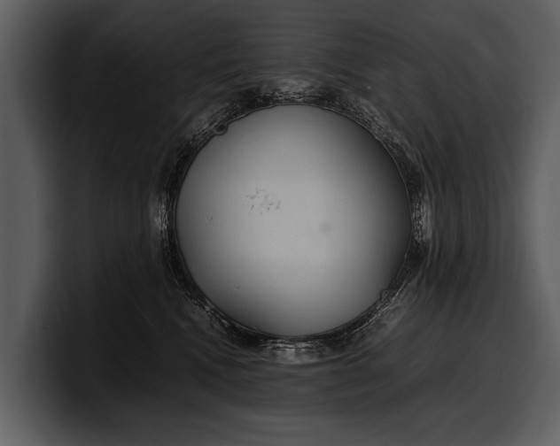X0000100310472200806190946