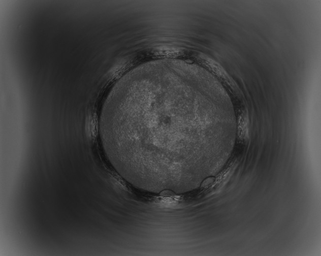 X0000100310474200806190946