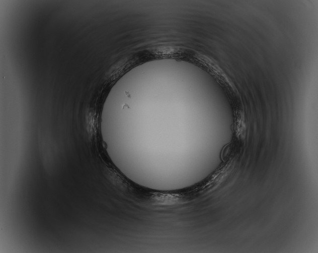 X0000100310476200806190946