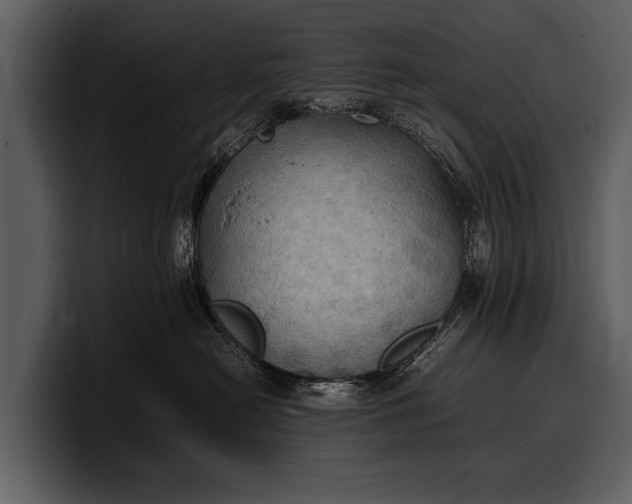 X0000100310478200806190946
