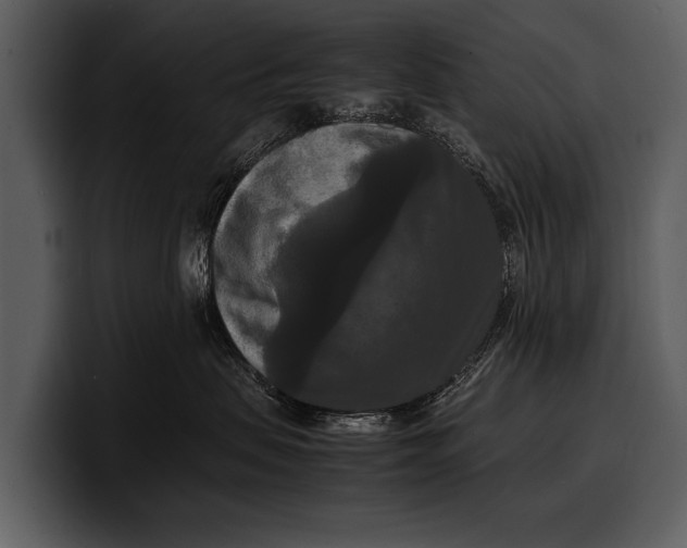 X0000100310479200806190946