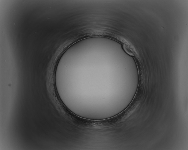 X0000100310481200806190945