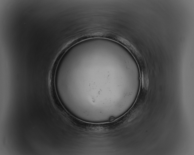 X0000100310483200806190945