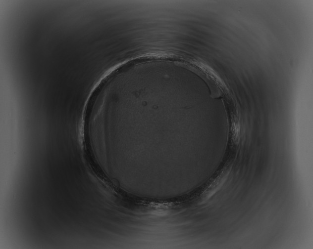 X0000100310484200806190945