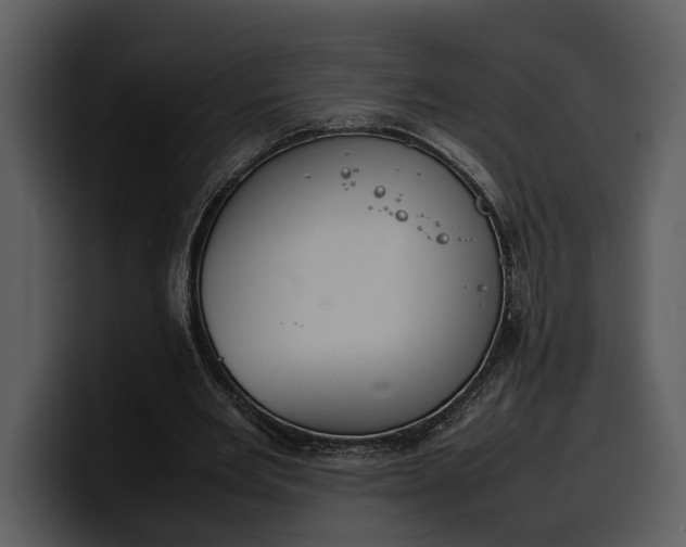 X0000100310485200806190945