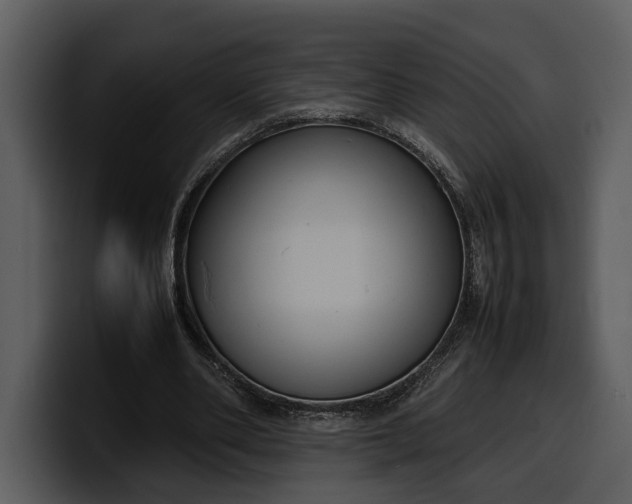 X0000100310486200806190945