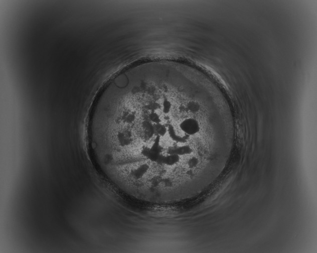 X0000100310487200806190945