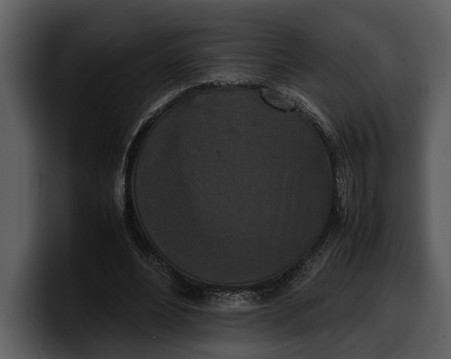 X0000100310488200806190945