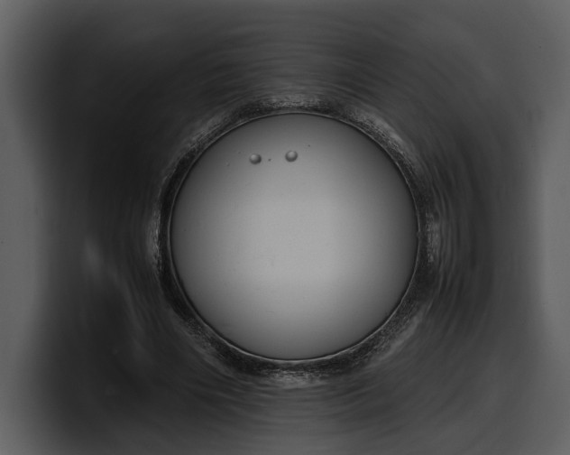 X0000100310490200806190945
