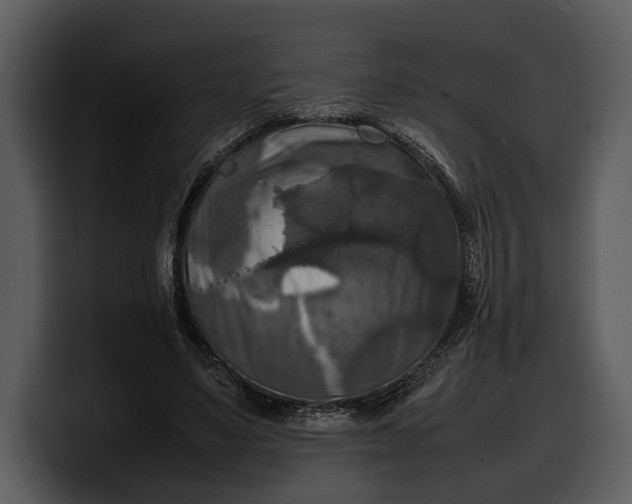 X0000100310491200806190945