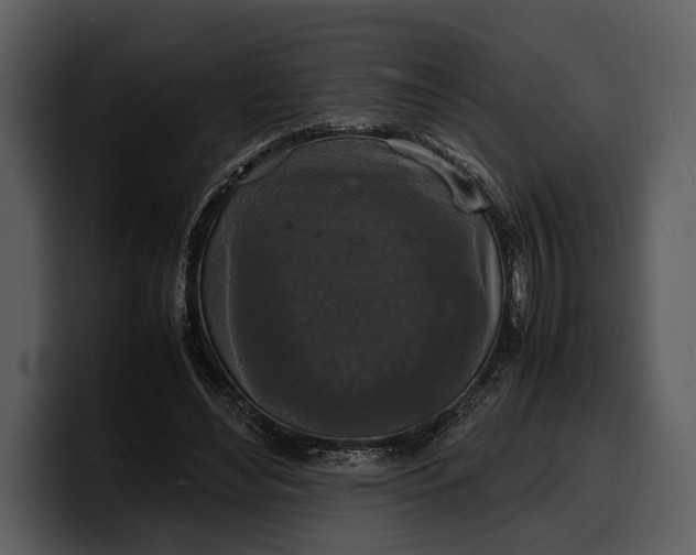 X0000100310492200806190945