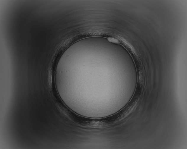 X0000100310493200806190945