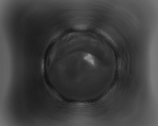 X0000100310494200806190945